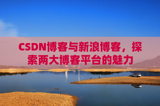 CSDN博客与新浪博客，探索两大博客平台的魅力